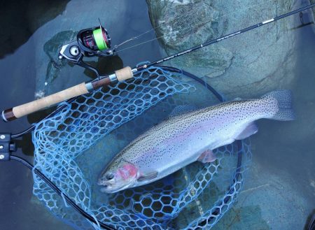 厳しいぞ ～天竜川ルアーフライ専用区～